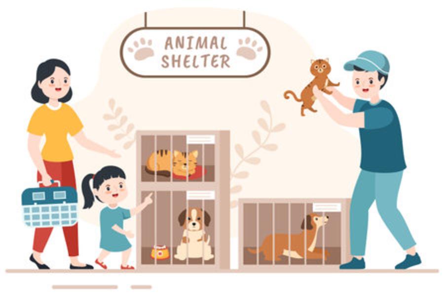 OES K-Kids Animal Shelter Collection